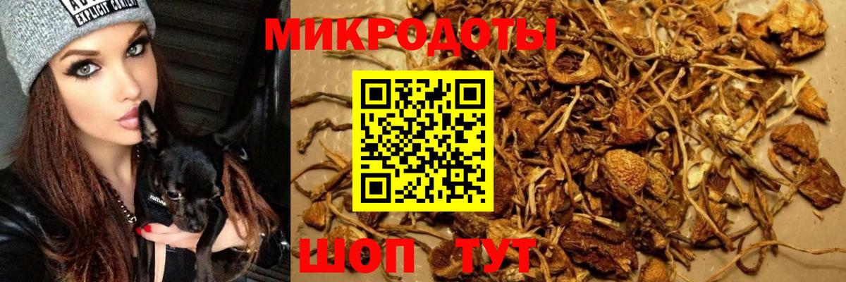 Псилоцибиновые грибы GOLDEN TEACHER  Вход с VPN  Псилоцибиновые грибы Psilocybine cubensis  Калач-на-Дону 